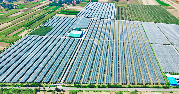 1684147653281283.png 钰圣果业全景图006.png