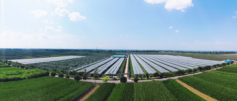 1684147662708166.jpg 钰圣180全景图2.jpg